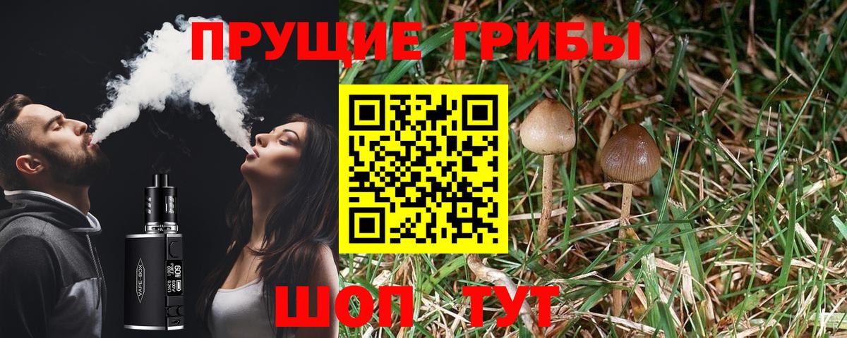 Галлюциногенные грибы MAGIC MUSHROOMS  купить закладку  Усинск  Вход с VPN 